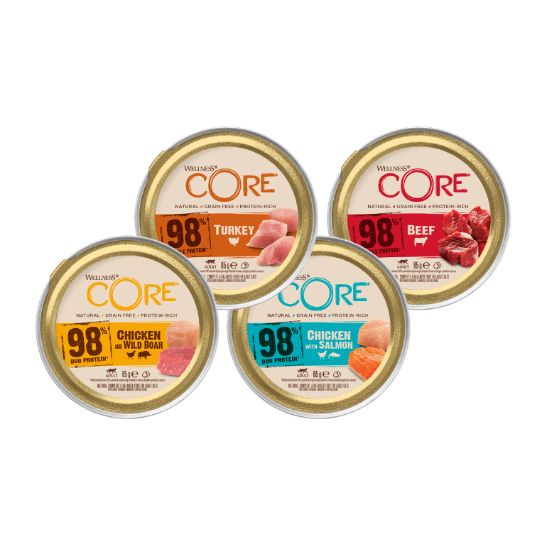 CORE – Patè gatto 98%