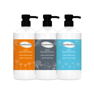shampoo