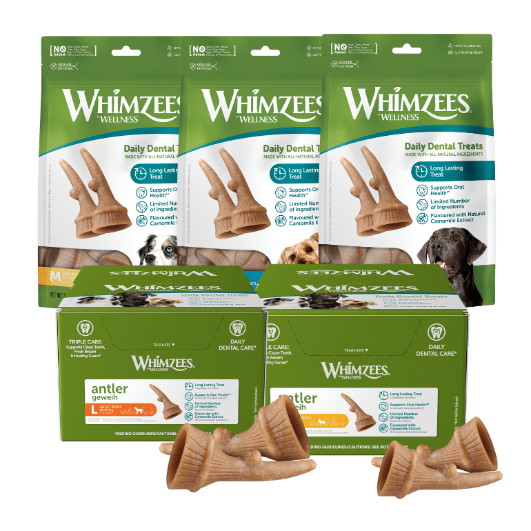 WHIMZEES – Antler