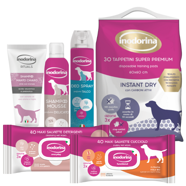 Inodorina (2)