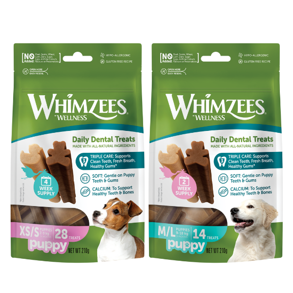 whimzees puppy